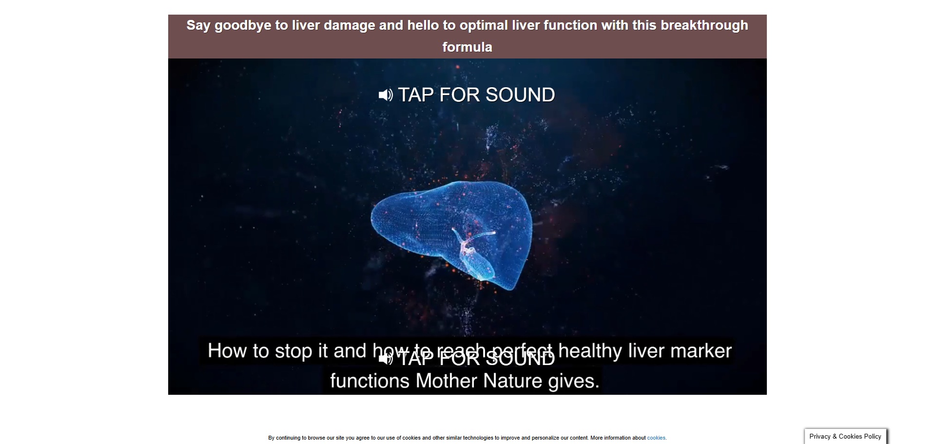 Liver Guard Plus Ürün