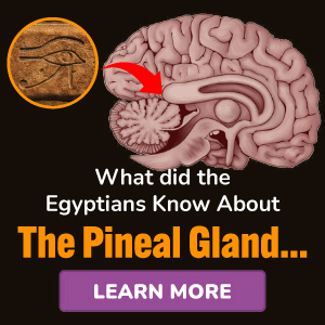 Pineal XT Ürün